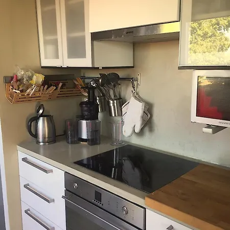 Apartment Superb 100m With Rooftop Terrace Near Paris Ivry-sur-Seine